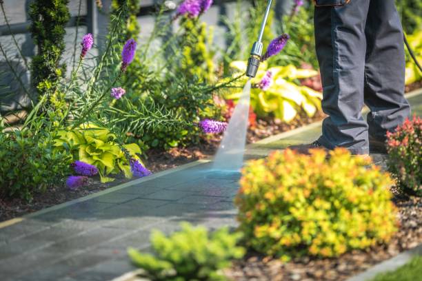 Best Animal Enclosure Cleaning  in Bort, GA